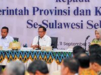 Gubernur Sulsel dan Mendagri Bahas Penguatan Kerja Sama untuk Pembangunan dan Stabilitas Daerah