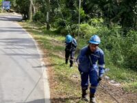 PLN Icon Plus Perluas Akses Internet hingga Daerah Terpencil