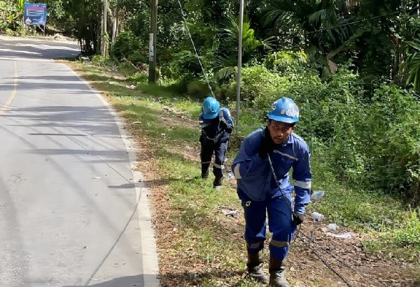 PLN Icon Plus Perluas Akses Internet hingga Daerah Terpencil